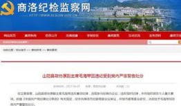 商洛新闻爆料电话查询,揭秘市民身边事，倾听民声传递正义